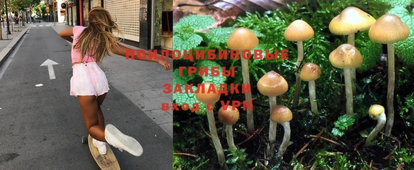 твердый Алексеевка